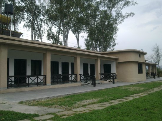 example-image